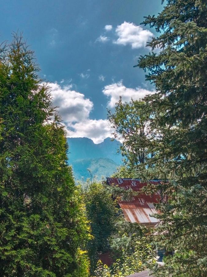 Wynajem Pokoi Goscinnych Zakopane Dış mekan fotoğraf