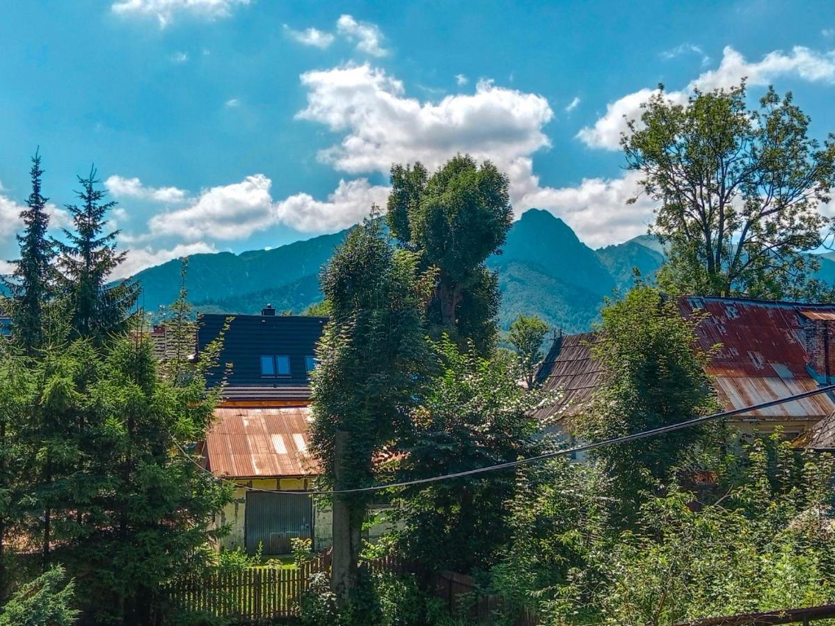 Wynajem Pokoi Goscinnych Zakopane Dış mekan fotoğraf