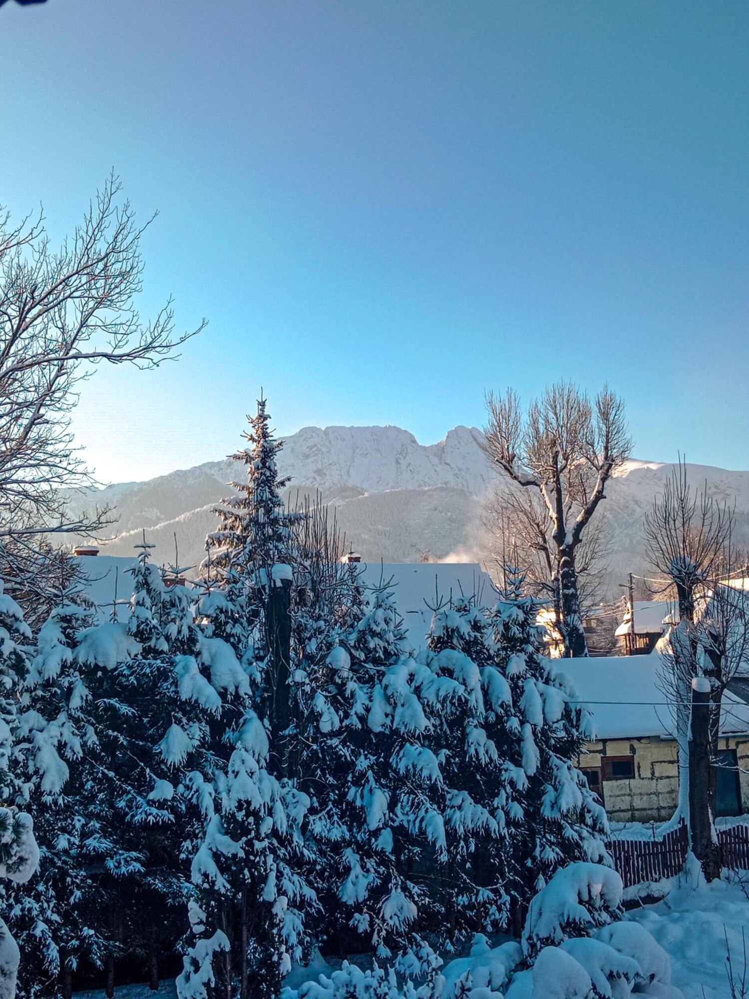 Wynajem Pokoi Goscinnych Zakopane Dış mekan fotoğraf
